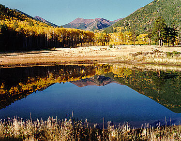 Lockett Meadow