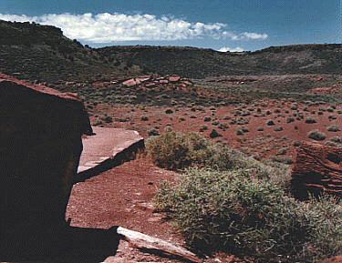 Red Rock Desert